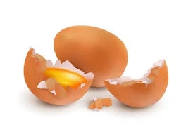 Egg Products